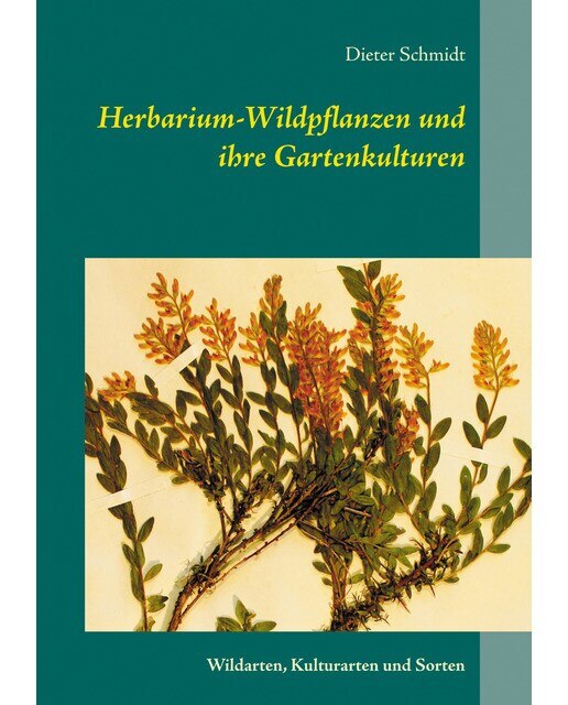 Herbarium-Wildpflanzen und ihre Gartenkulturen 1