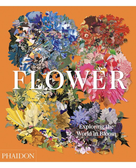 Flower. Exploring the world in bloom 1