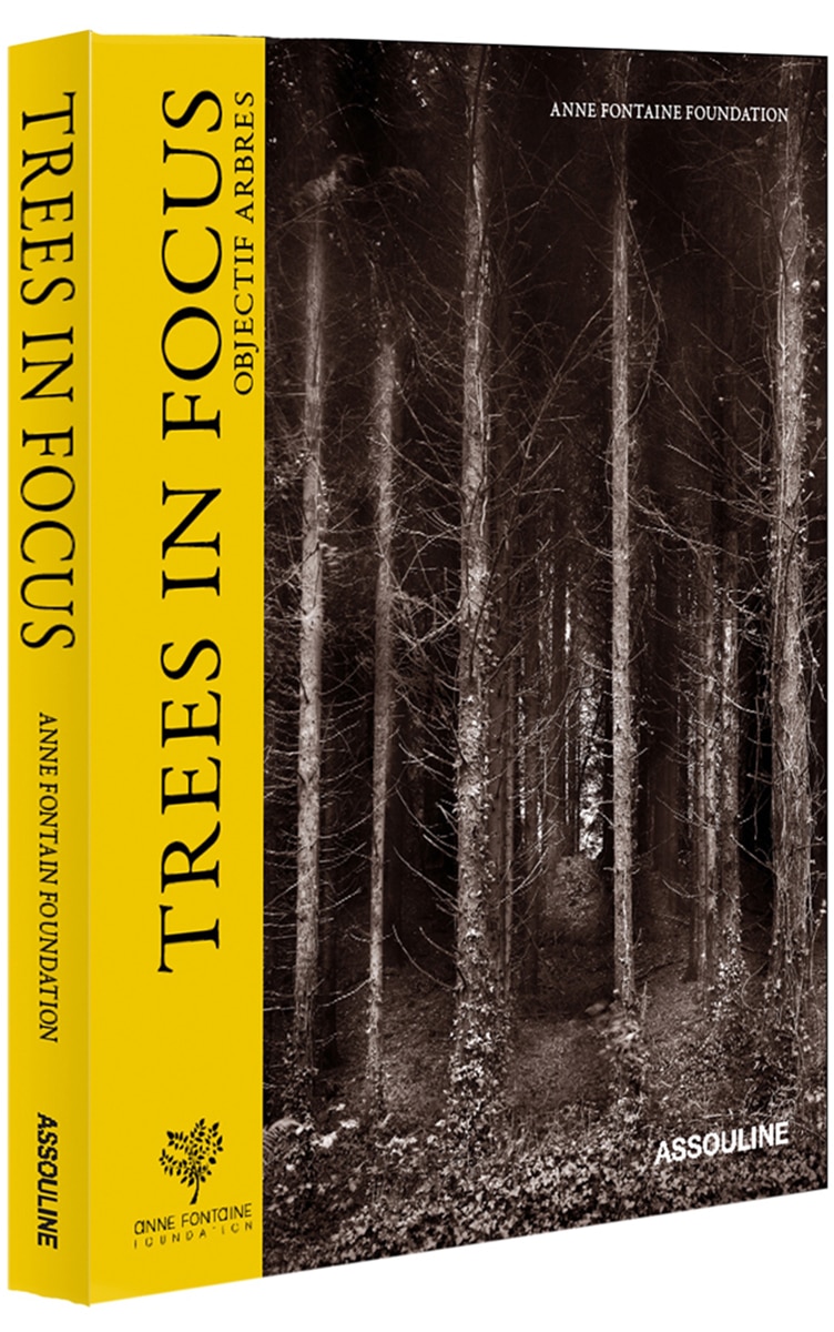 Trees in focus 1