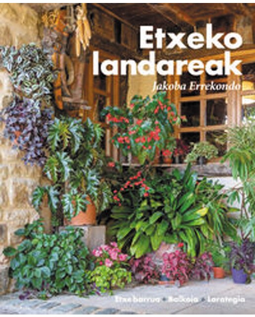 Etxeko landareak 1