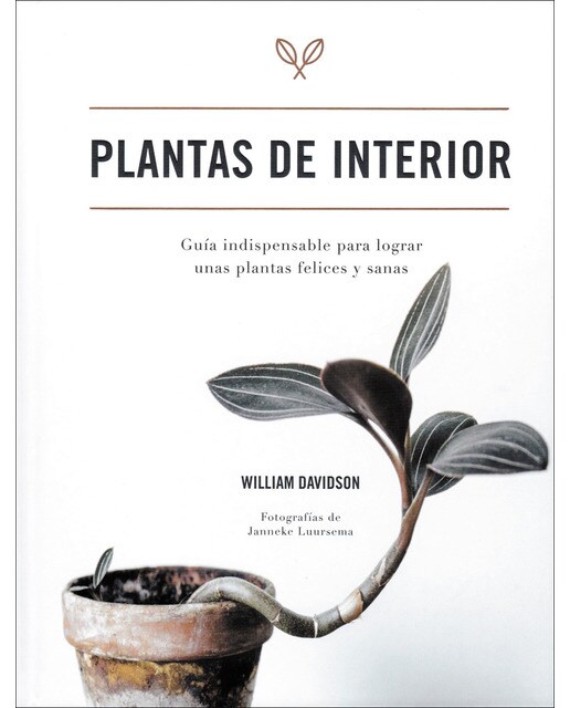 Imagem 0 de Plantas de interior