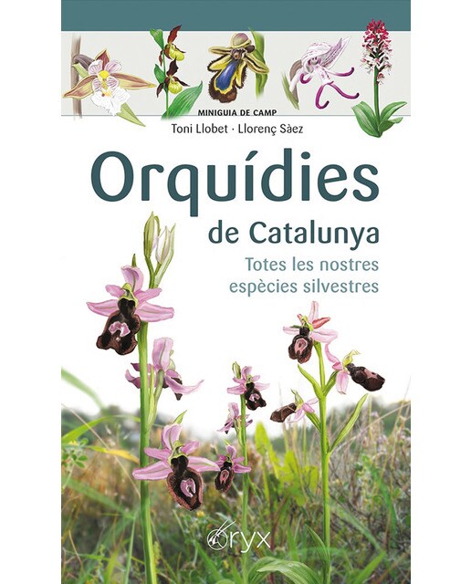 Imagen 0 de Orquídies de Catalunya: Totes les nostres espècies silvestres
