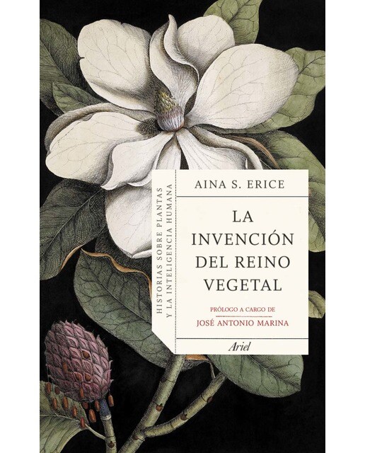 Imagen 1 de La invención del reino vegetal: Historias sobre plantas y la inteligencia humana  (Tapa blanda con solapas)
