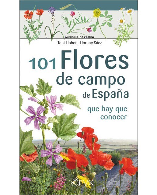 Imagen 0 de 101 Flores de campo de España: que hay que conocer