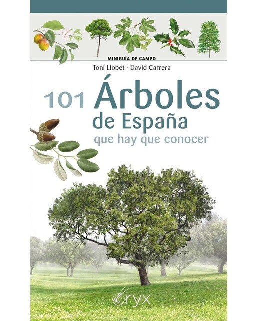 Imagem 0 de 101 Árboles de España: que hay que conocer