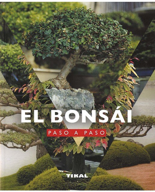 El bonsái paso a paso(Tapa blanda) 1