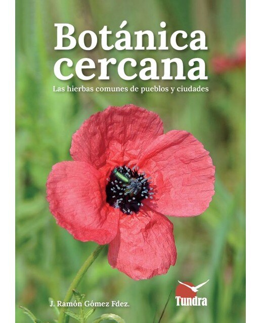 Botánica cercana. Las hierbas comunes de los puebl