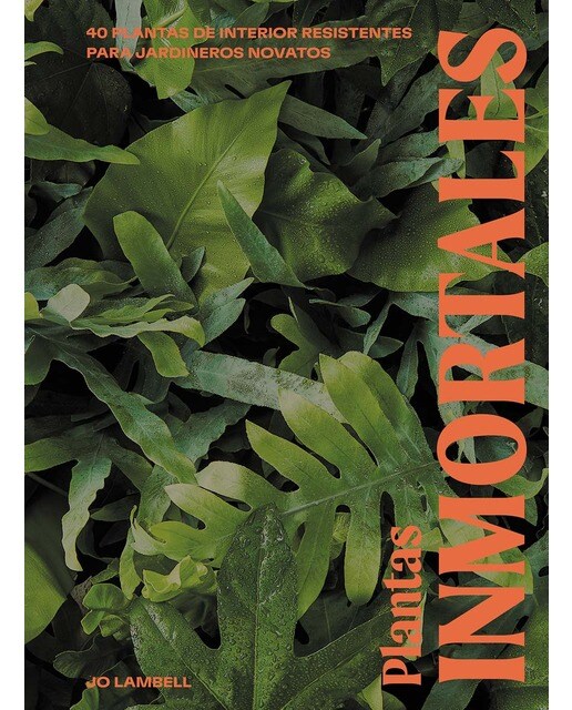 Plantas inmortales: 40 plantas de interior resistentes para jardineros novatos.