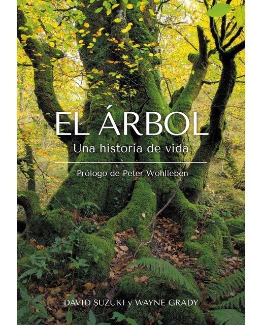El Árbol: Una historia de vida (Capa mole) 1