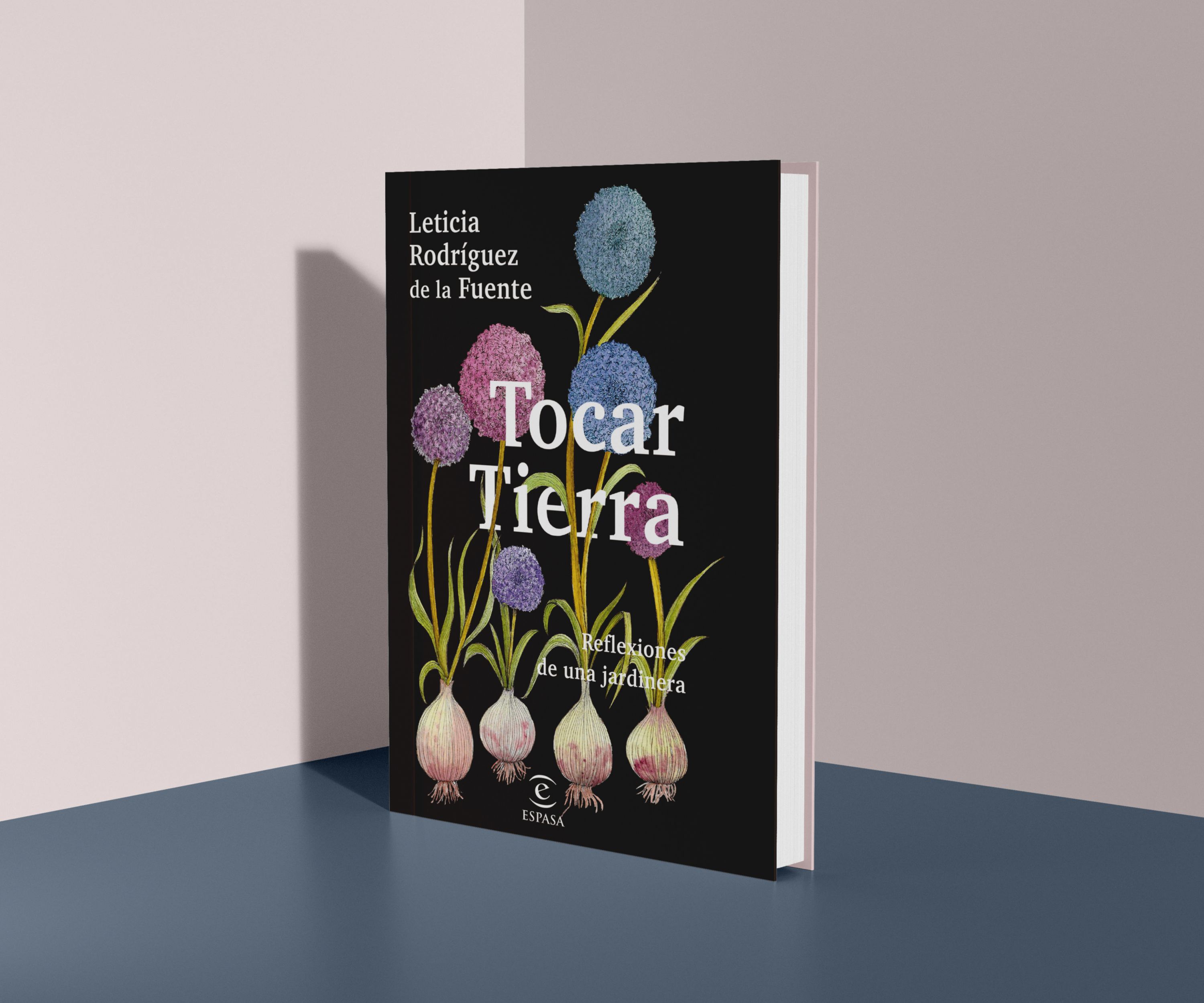 Tocar tierra 6