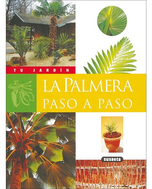 La palmera paso a paso (Capa mole) 1