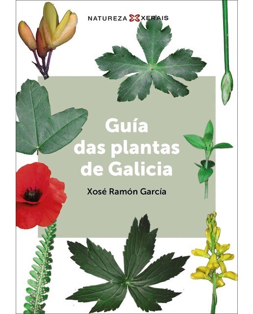 Guía das plantas de Galicia (Capa mole com abas) 1