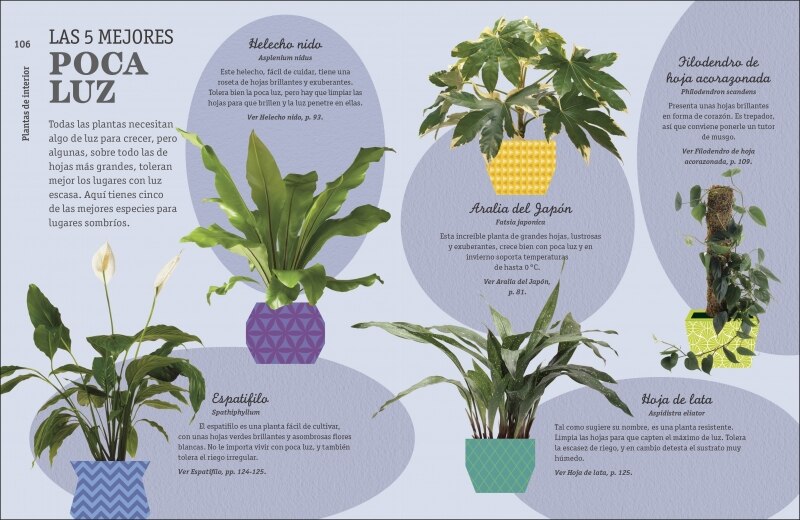 Cómo no matar tus plantas (Nueva edición): Consejos y cuidados para que tus plantas de interior sobrevivan (Capa dura) 3