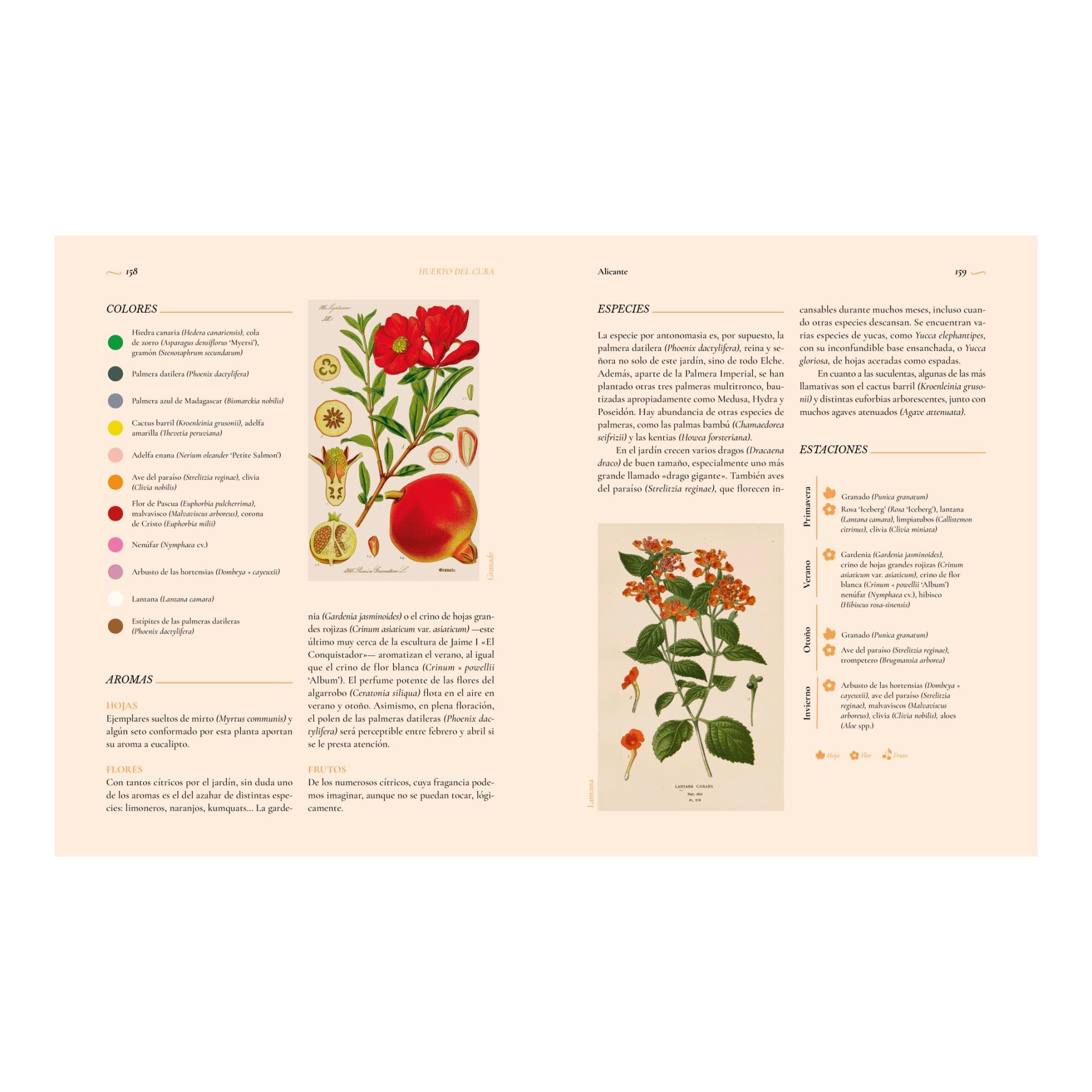 Jardines íntimos (Capa mole com abas) 7