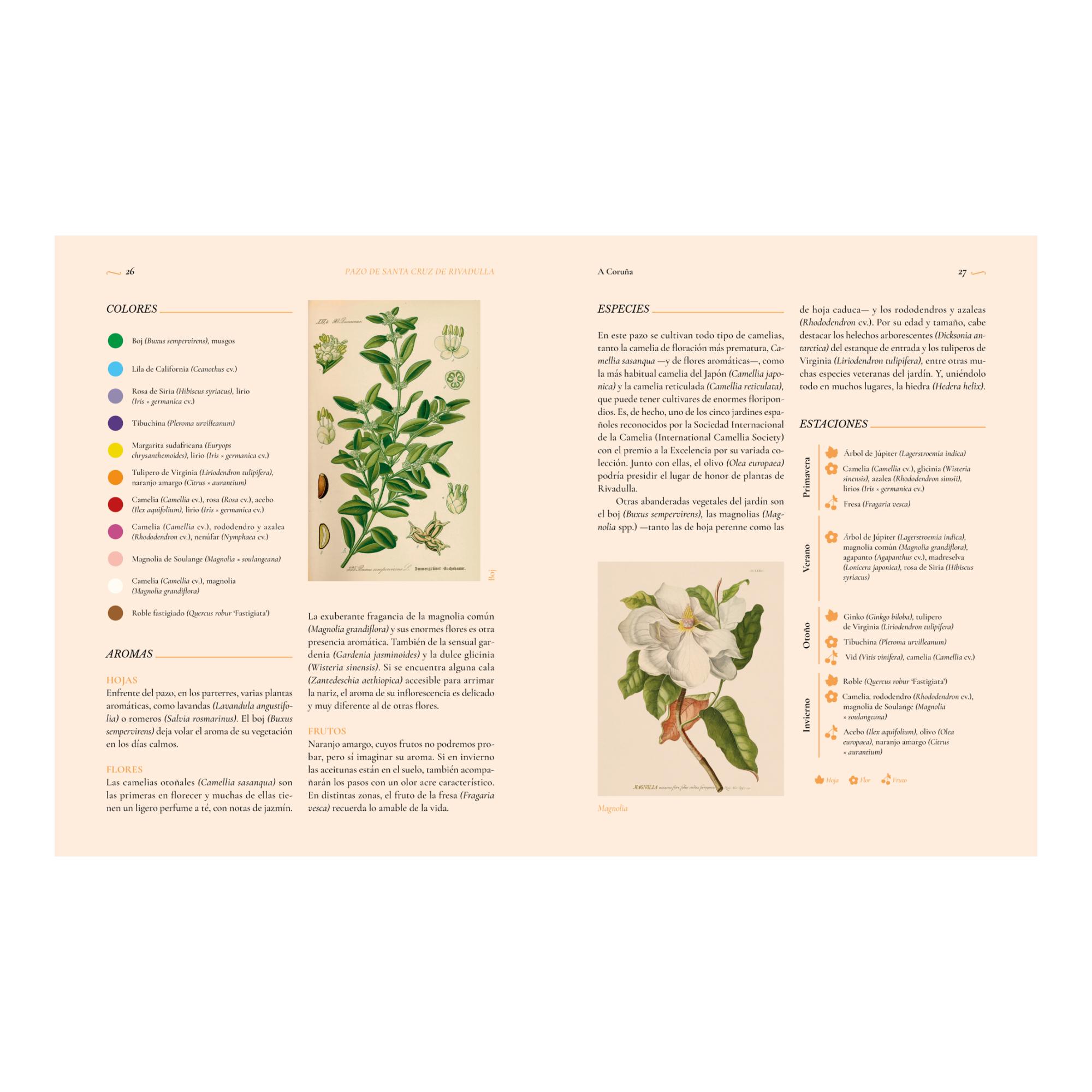 Jardines íntimos (Capa mole com abas) 8