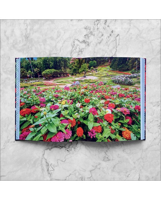 Explorar Jardines del mundo 5