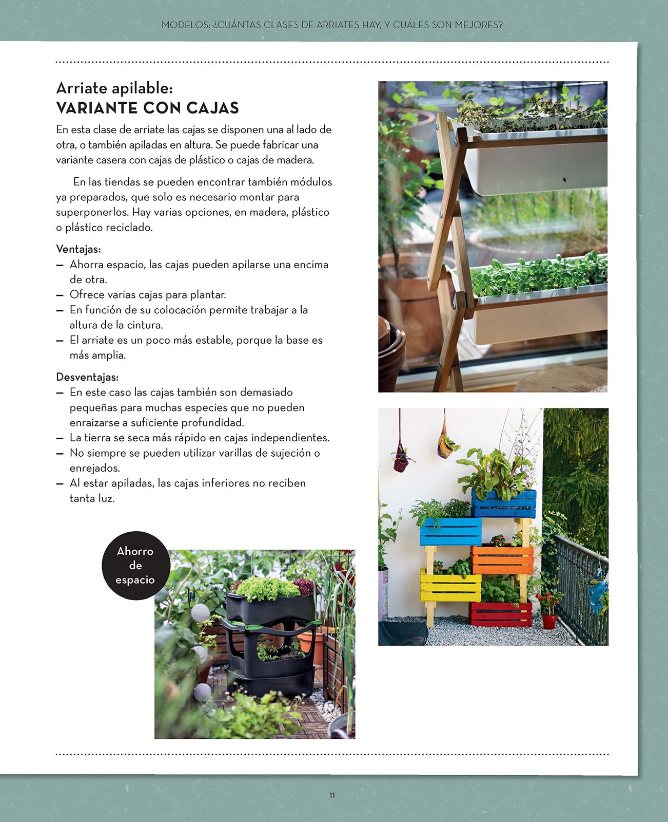 Mi huerto en el balcón: Cultiva en espacios pequeños  (Tapa blanda) 2