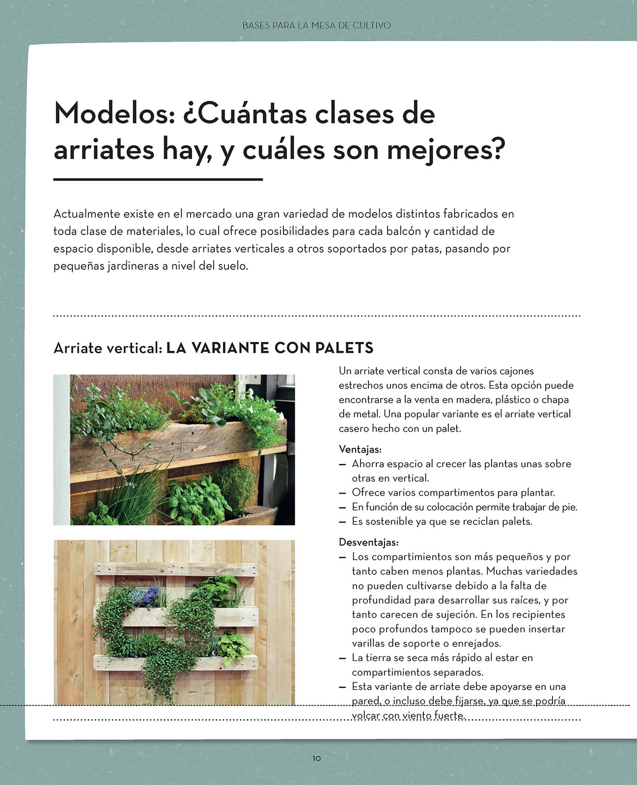 Mi huerto en el balcón: Cultiva en espacios pequeños  (Tapa blanda) 3