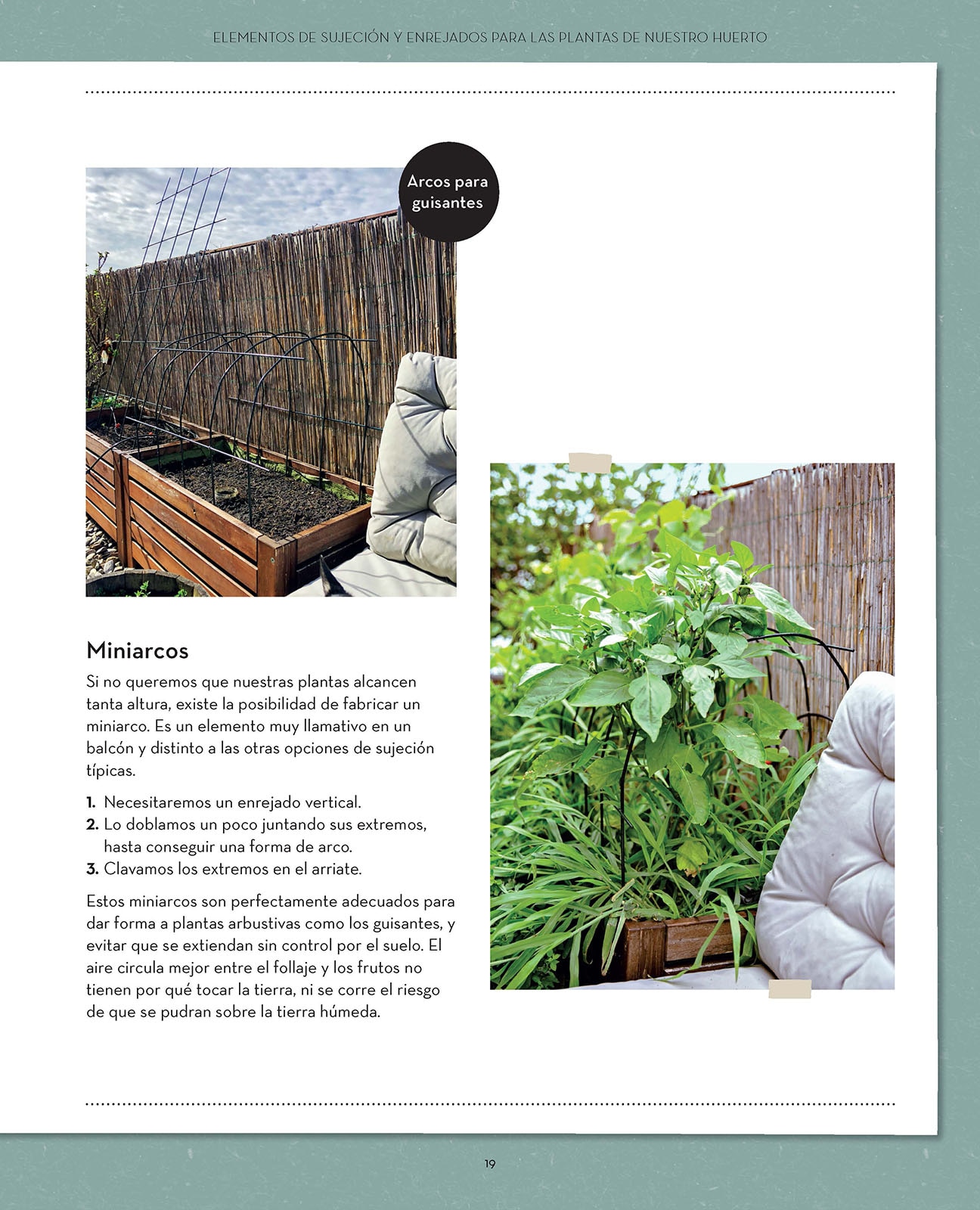 Mi huerto en el balcón: Cultiva en espacios pequeños  (Tapa blanda) 4