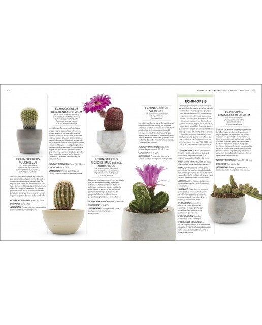 Plantas de interior: Guía completa. Plantas, cactus y suculentas (Capa dura) 3