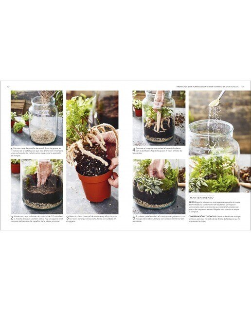 Plantas de interior: Guía completa. Plantas, cactus y suculentas (Capa dura) 5