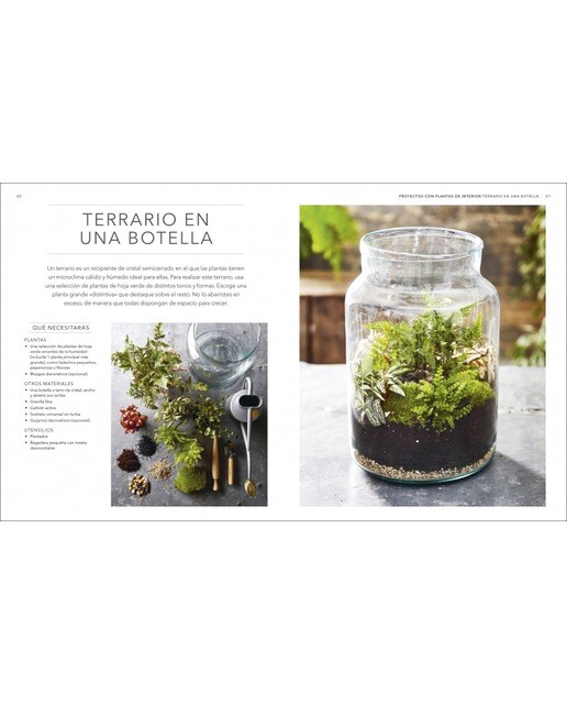 Plantas de interior: Guía completa. Plantas, cactus y suculentas (Capa dura) 8