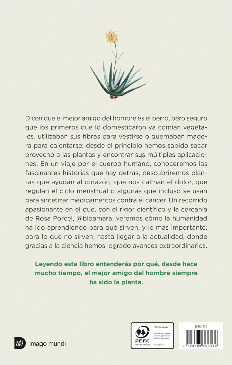 Imagen 2 de Plantas que nos ayudan: La ciencia detrás del conocimiento ancestral de las plantas medicinales  (Tapa blanda con solapas)