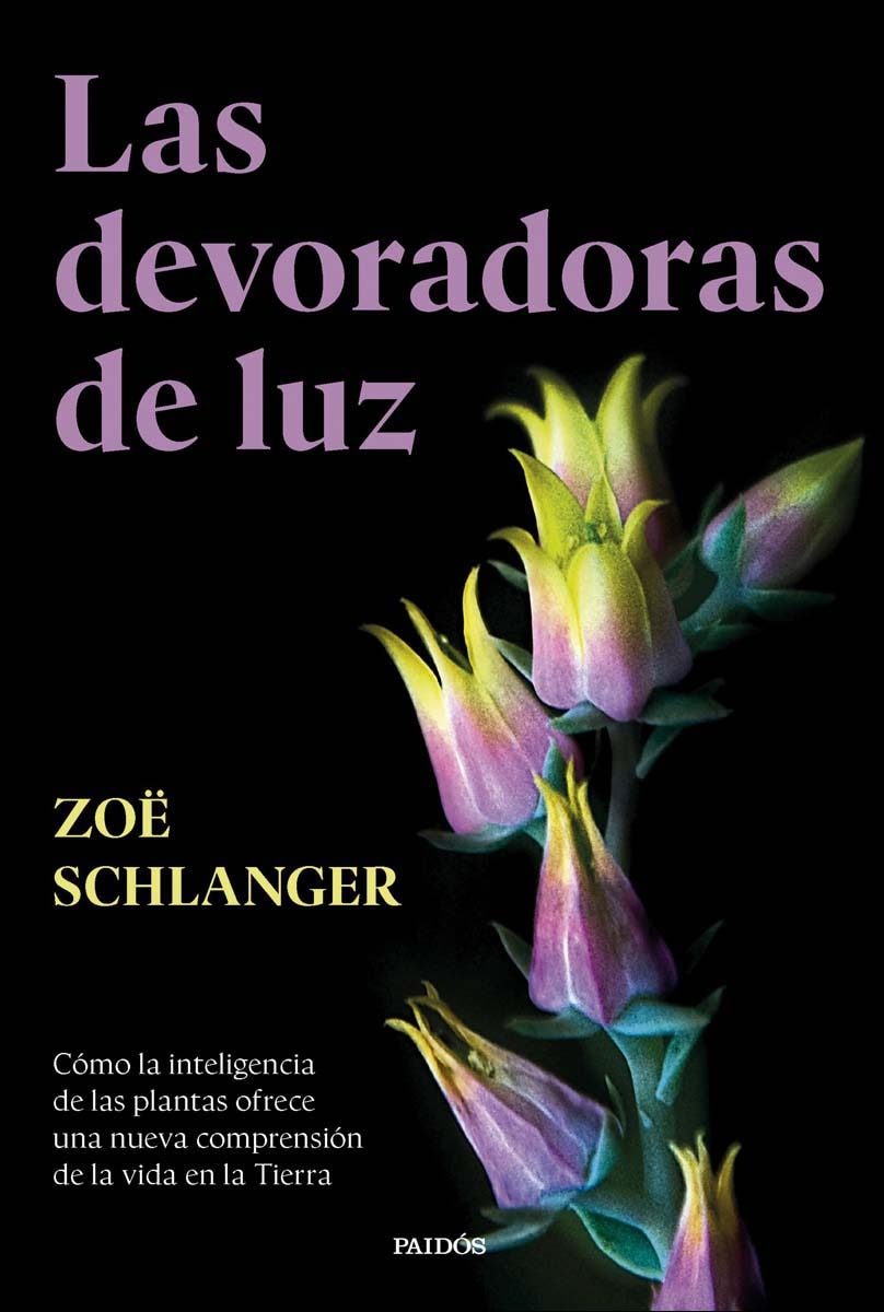 Las devoradoras de luz: Cómo la inteligencia de las plantas ofrece una nueva comprensión de la vida en la Tierra (Capa mole com abas) 1