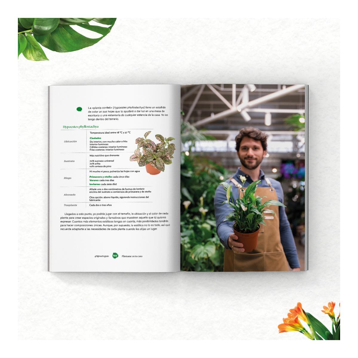 Plántame en tu casa: Aprende a mejorar tus espacios verdes (Capa mole com abas) 2