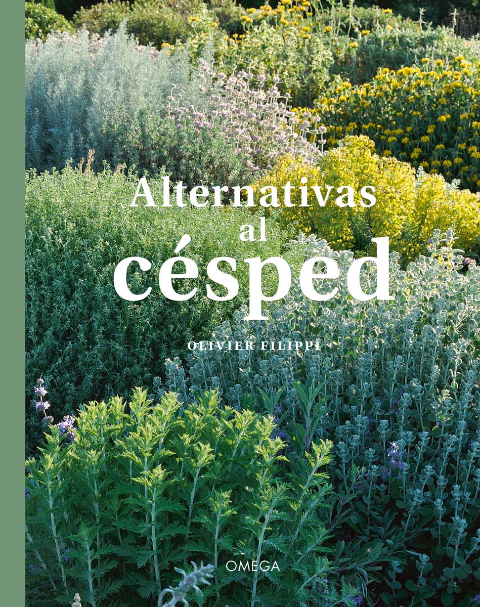 Alternativas al césped 1