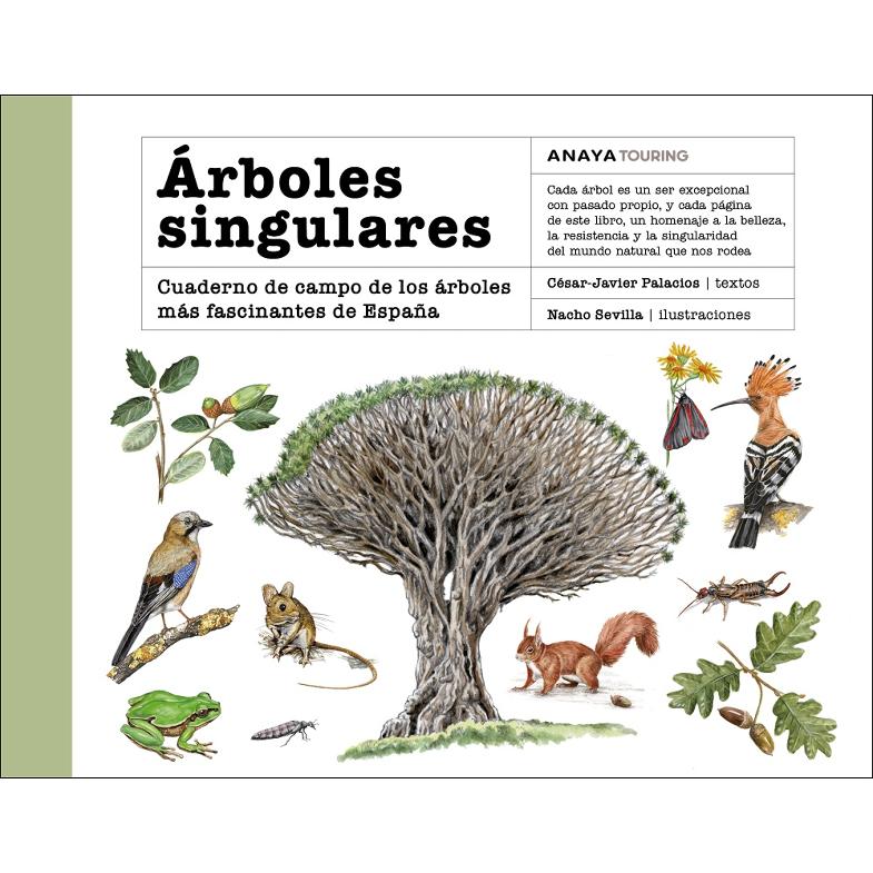 Árboles singulares: Cuaderno de campo de los árboles más fascinantes de España (Capa mole com abas) 1