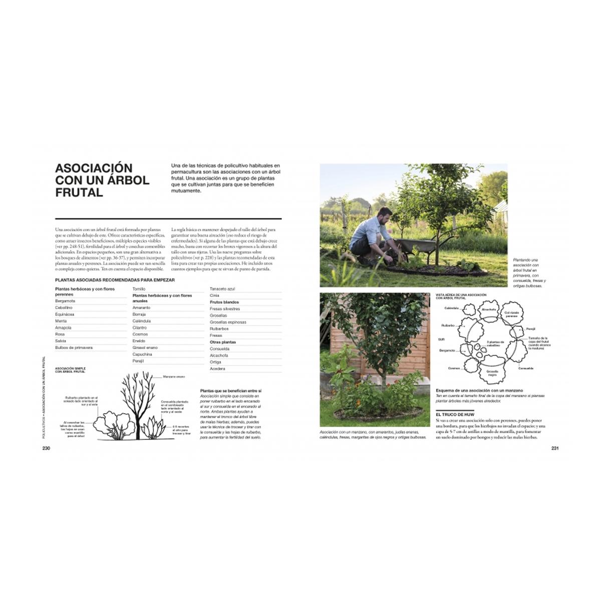 Permacultura: Guía práctica: Cultivos resilientes y regenerativos para cosechar todo el año (Capa dura) 6