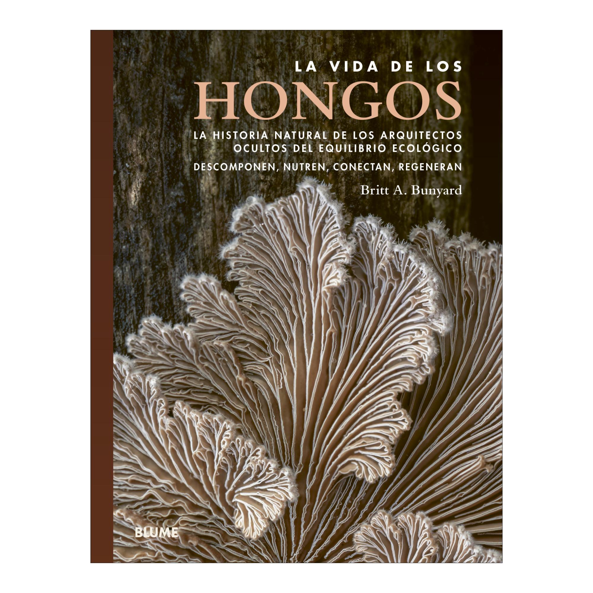 Imagem 0 de Vida de los hongos
