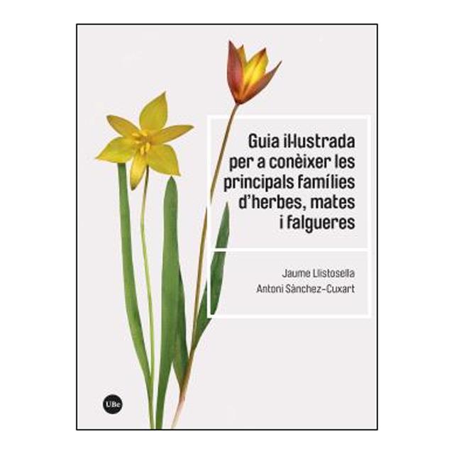 Imagen 0 de GUIA IL·LUSTRADA PER A CONÈIXER LES PRINCIPALS FAMÍLIES D’HERBES, MATES I FALGUERES ()