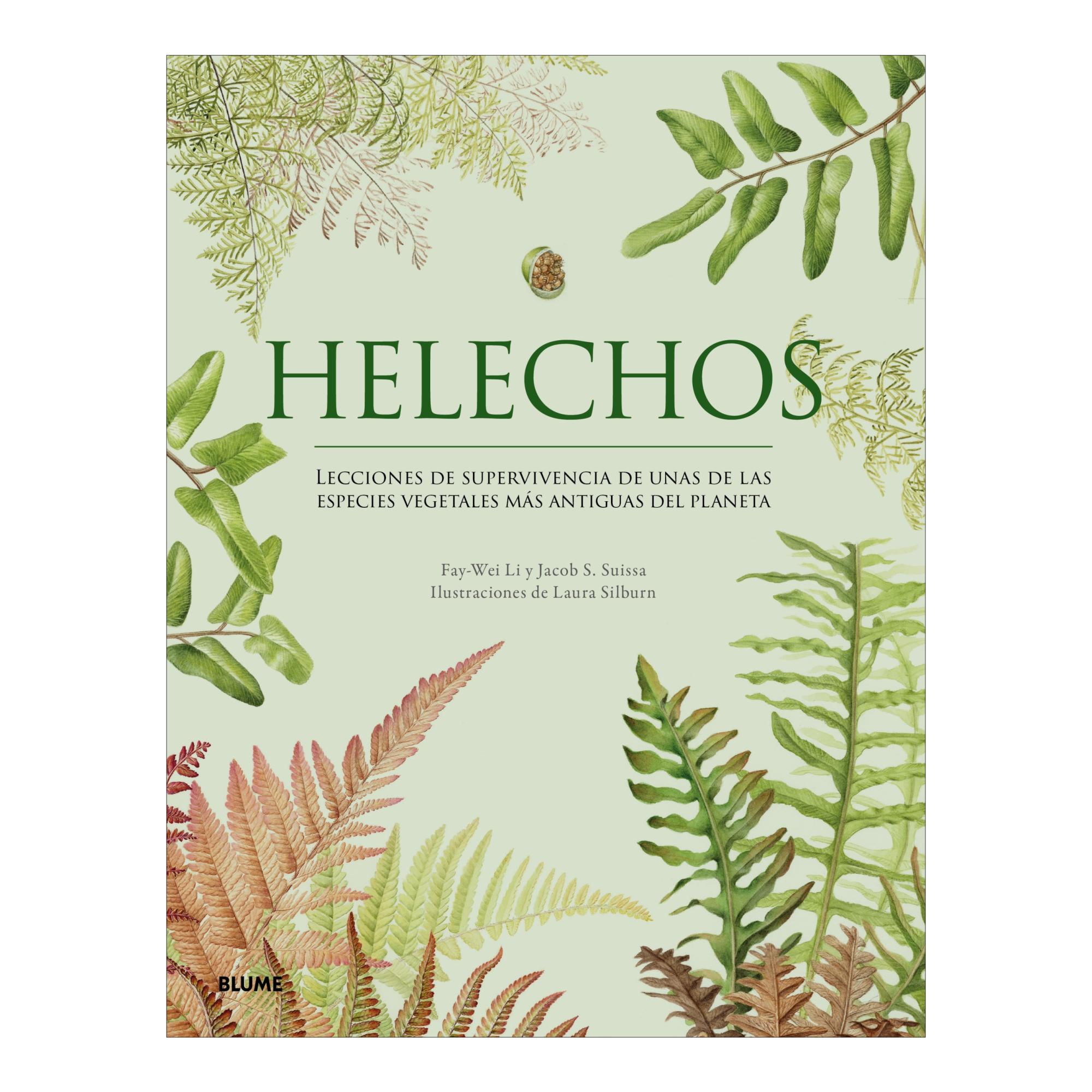 Imagem 0 de HELECHOS (Capa dura)