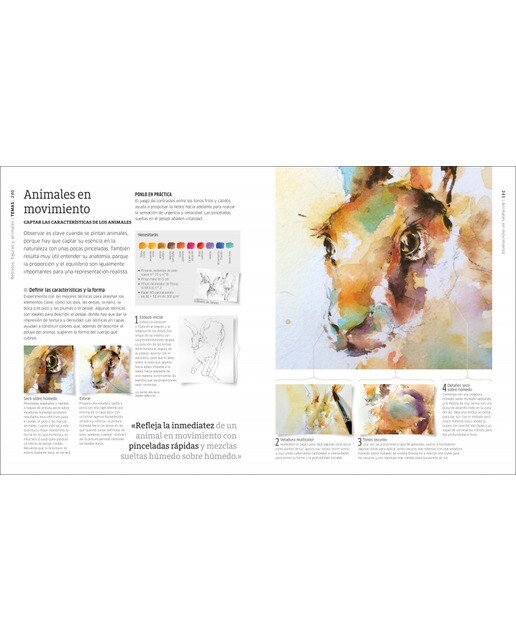 Acuarela. Técnicas artísticas: Aprende todas las técnicas, pinta paisajes y retratos y desarrolla tu propio estilo  (Tapa dura) 8