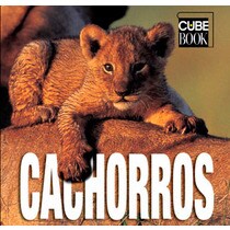 Cachorros