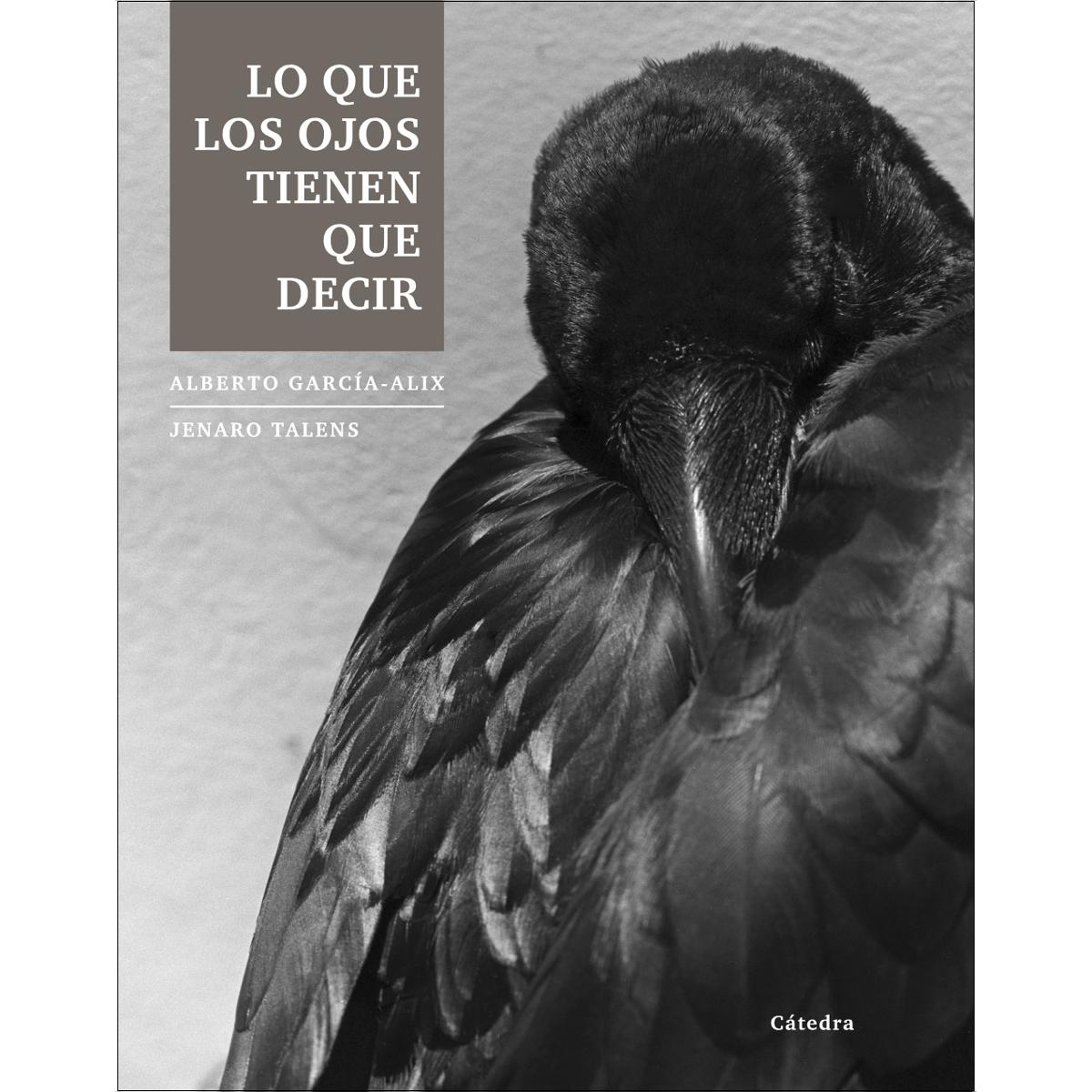 Imagem 0 de Lo que los ojos tienen que decir (Capa mole com abas)