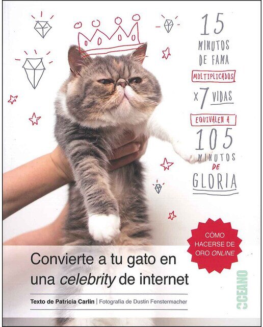 Imagem 0 de Convierte A Tu Gato En Una Celebrity De Internet