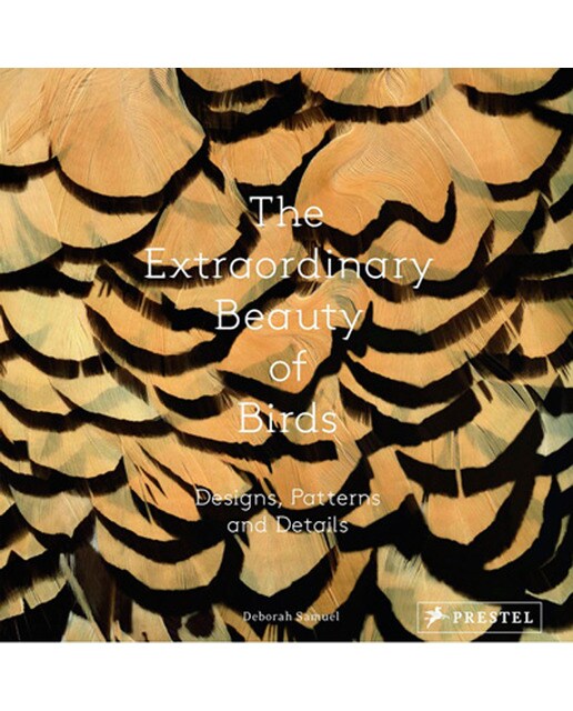 The Extraordinary Beauty Of Birds: Designs Pattern 1