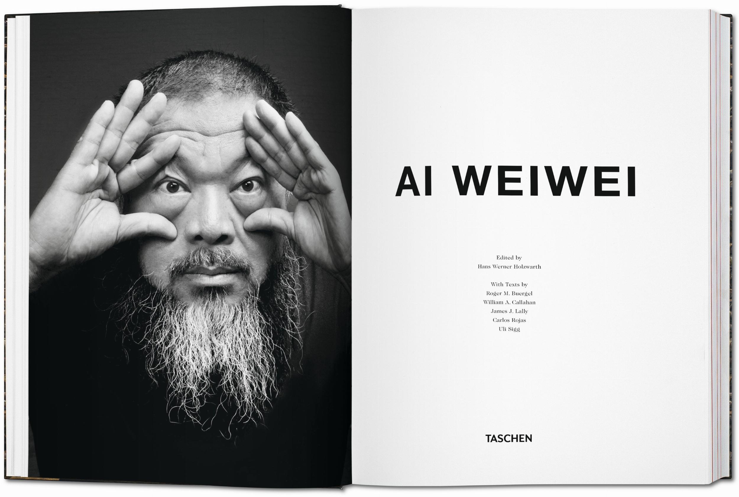 Ai Weiwei (Capa dura) 4