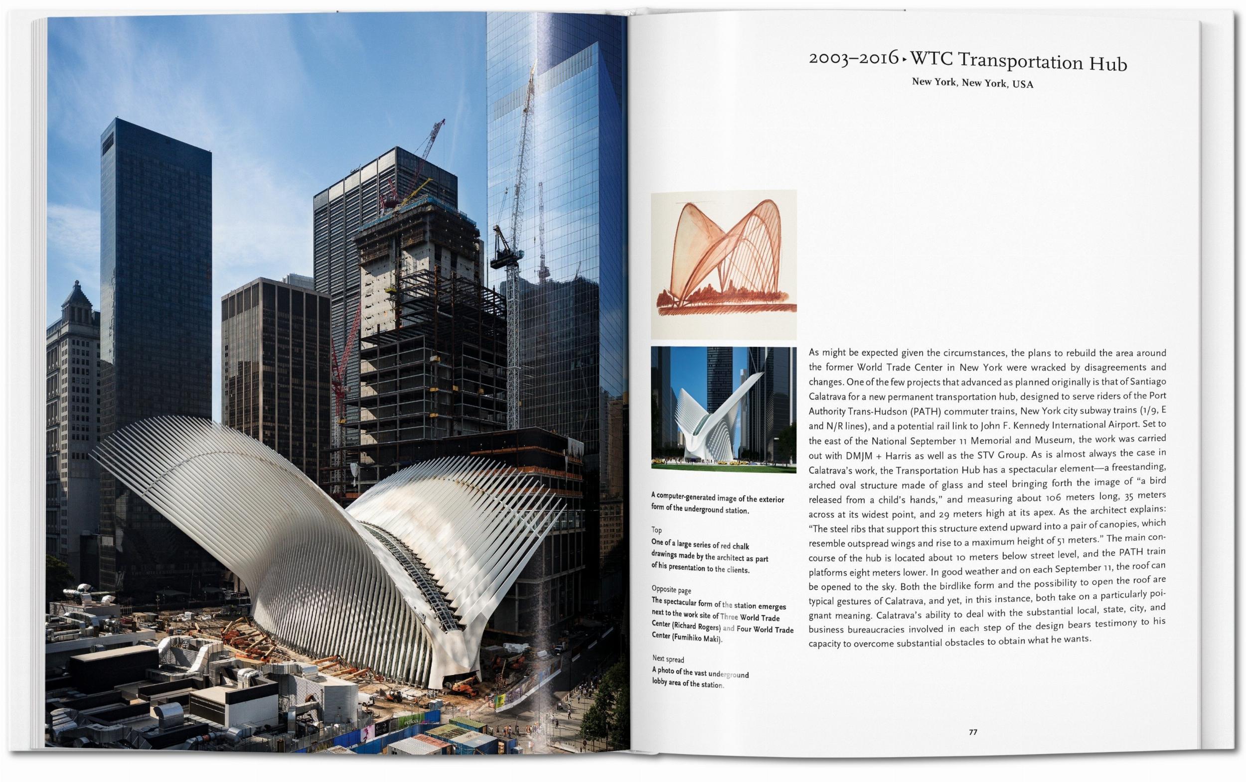 Calatrava(Tapa dura) 7