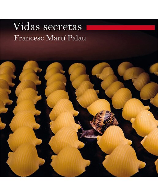 Vidas Secretas 1