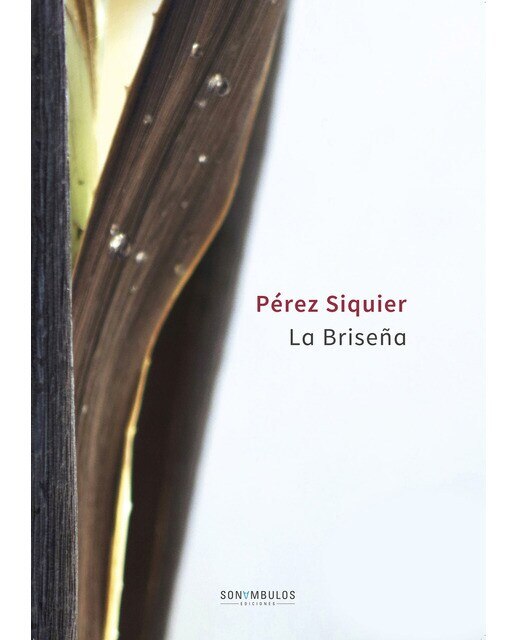 La Briseña 1