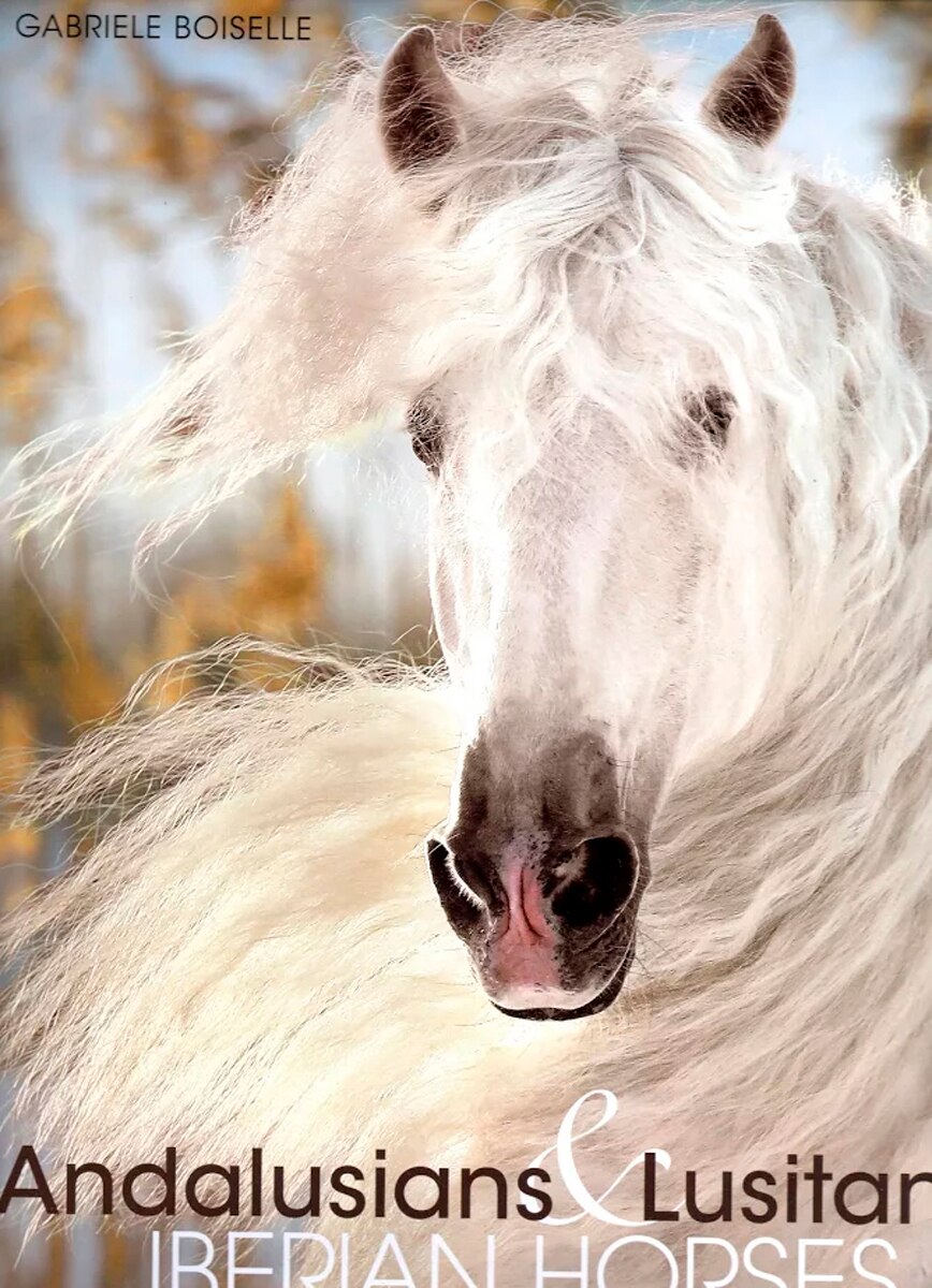 Andalusians & Lusitanos. Iberian Horses/ Pura Raz 1