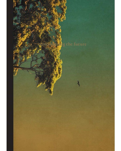 Remembering the future(Tapa dura) 1