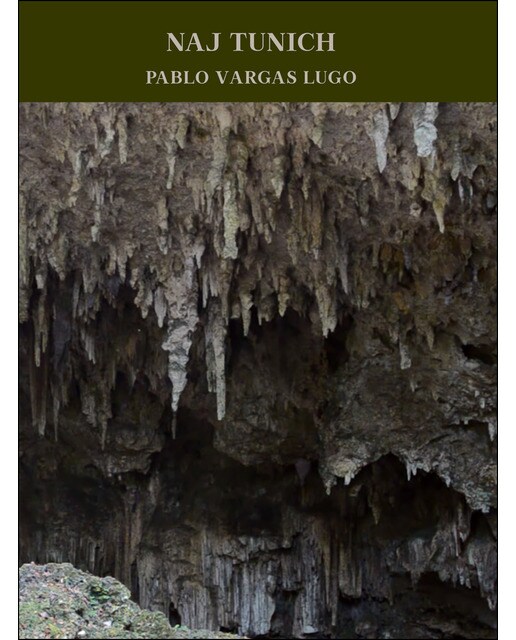 Naj tunich. Pablo vargas lugo(Tapa dura) 1