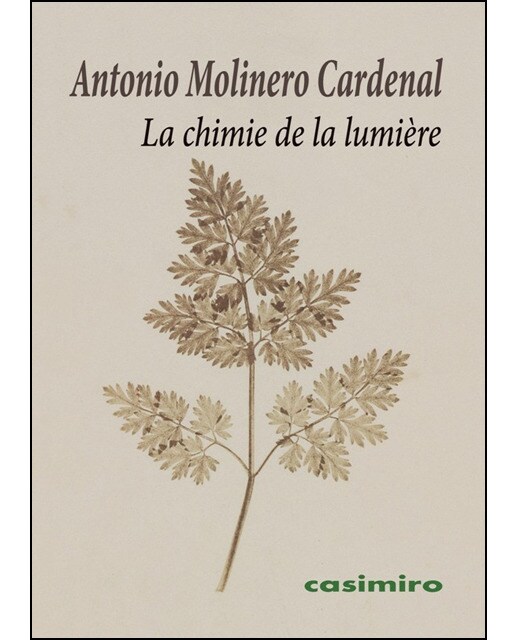 La Chimie De La Lumière 1