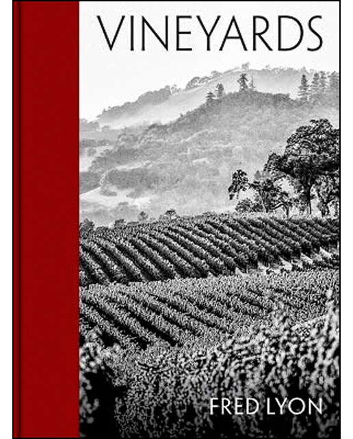 Vineyards 1