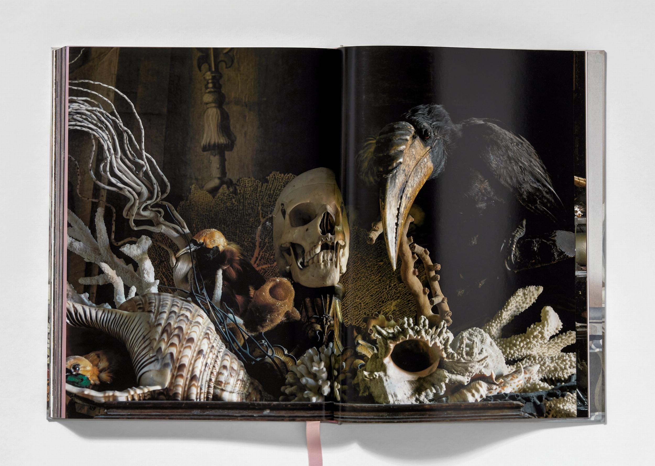 Massimo Listri. Cabinet of Curiosities (Capa dura) 8